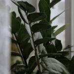 resized_110751