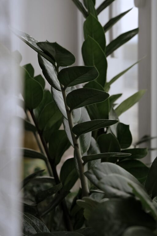 resized_110751